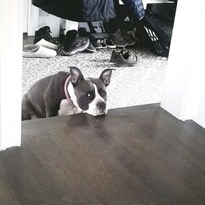 Meet your Posher, Janet